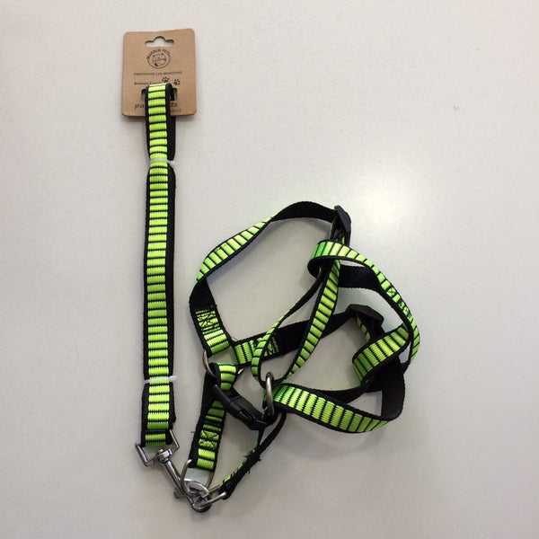 Arnés con Correa Para Perro Pequeño