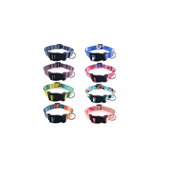 Collar Económico Talla Única