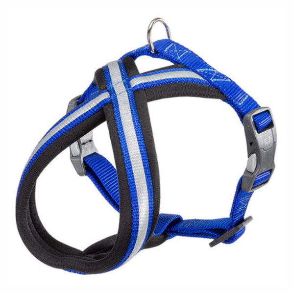 Pechera Perro Daytona Cross Azul - Sm | Accesorios | Anipet Colombia