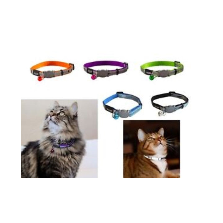 Collar Para Gato Purpura, Azul Y Amarillo | Accesorios | Anipet Colombia