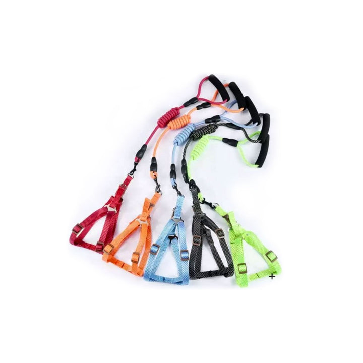 Correa Pechera Mascotas 120 Cm | Accesorios | Anipet Colombia