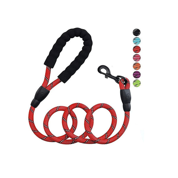 Correa Gruesa Acolchada | Accesorios Perros | Anipet Colombia