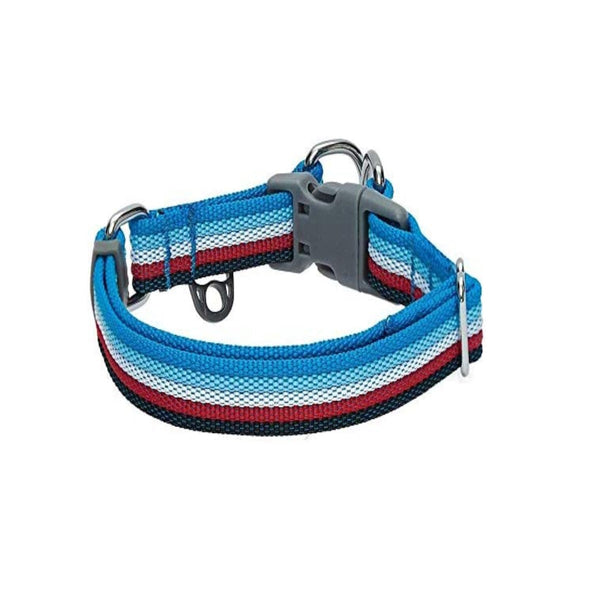 Collar Para Perro X 50 Cm | Accesorios | Anipet Colombia