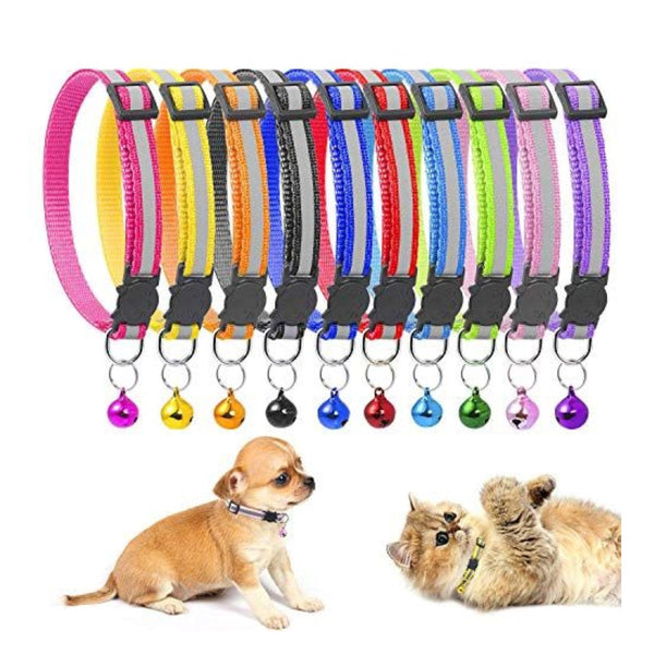 Collar Colores Reflectivos X Unidad | Accesorios | Anipet Colombia