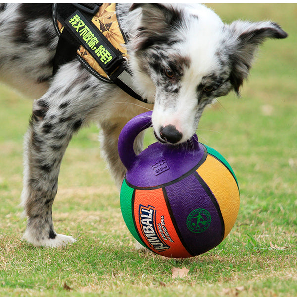 Pelota Jumball Basket S | Accesorios | Anipet Colombia