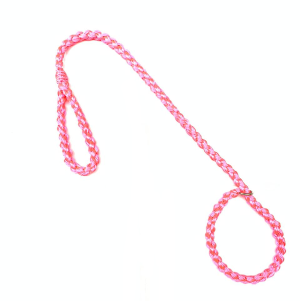 Correa Para Perro Al Torno Piola De Ahogo Surtido | Accesorios | Anipet Colombia