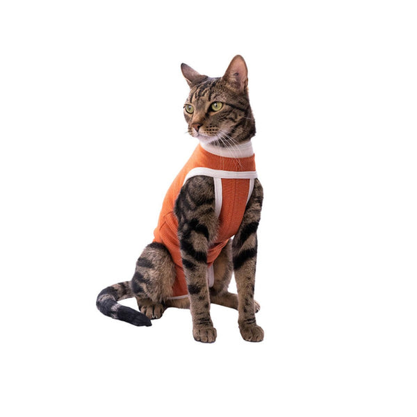 Faja Posquirurgico Para Mascotas Mini | Accesorios | Anipet Colombia