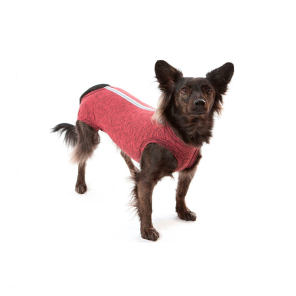 Faja Posquirurgico Para Mascotas XS | Accesorios | Anipet Colombia