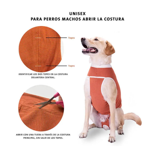 Faja Posquirurgico Para Mascotas XXXL | Accesorios | Anipet Colombia