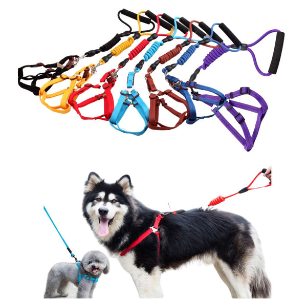 Arnés En H Con Correa Para Perro S | Accesorios | Anipet Colombia