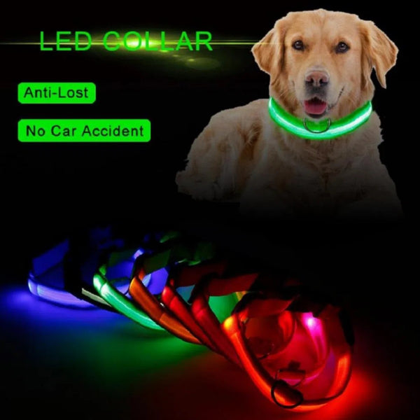 Collar Luz Led Talla L | Accesorios | Anipet Colombia