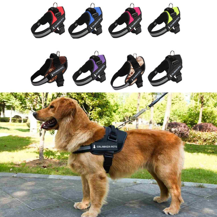 Arenes Para Perro Personalizado Talla XXL | Accesorios | Anipet Colombia