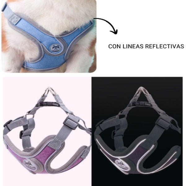 Pechera Con Correa Para Perro Azul Reflectiva | Accesorios | Anipet Colombia