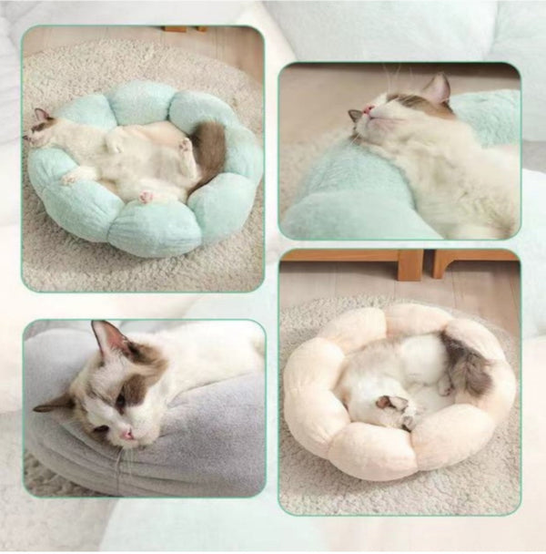 Cama Para Mascotas Dulce Flor Azul,Gris,Beige | Accesorios | Anipet Colombia