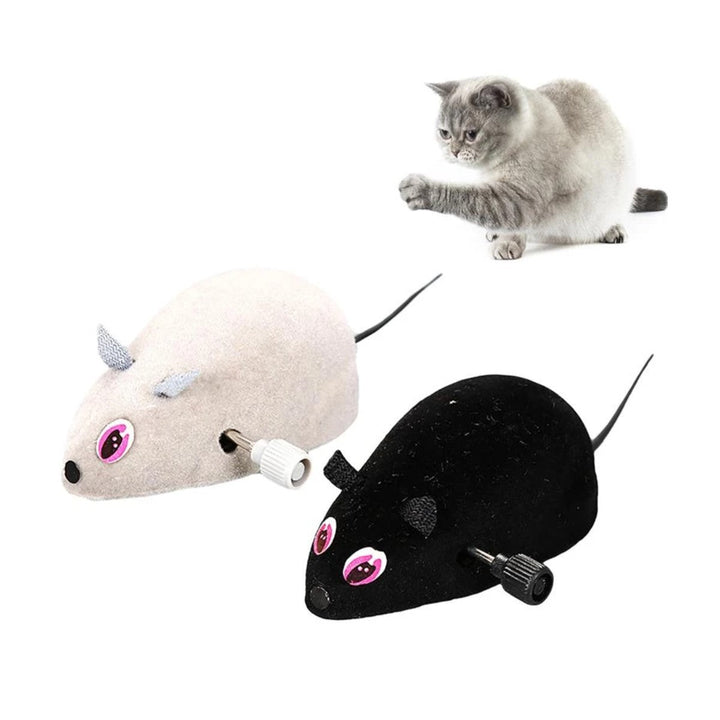 Raton De Cuerda Para Gato 2x1 | Accesorios | Anipet Colombia