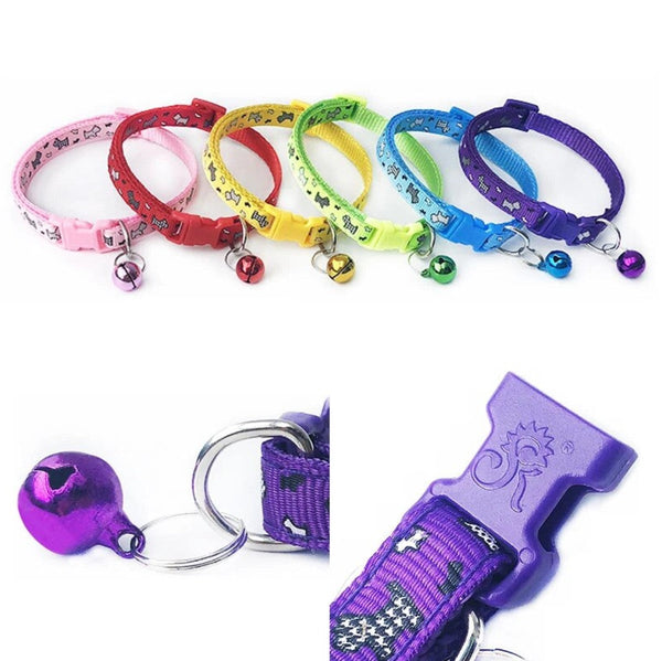 Collar Para Perro y Gato 1 cm | Accesorios | Anipet Colombia