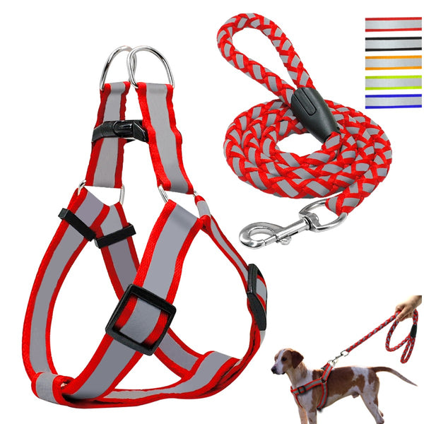 Correa Con Pechera Para Perro Razas Pequeñas y Grandes | Accesorios | Anipet Colombia