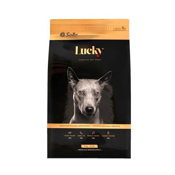 Alimento Para Perro Lucky Adultos Razas Medianas 2 Kg | Anipet Colombia