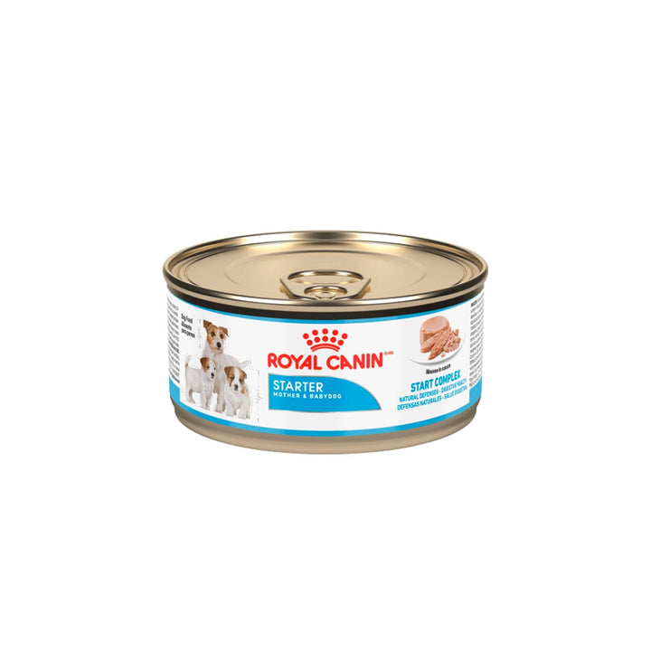 Alimento Húmedo para perro Royal Canin Starter Mother y Babydog  |Anipet Colombia