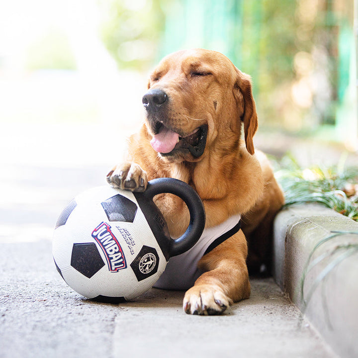 Pelota Jumball Football | Accesorios | Anipet Colombia